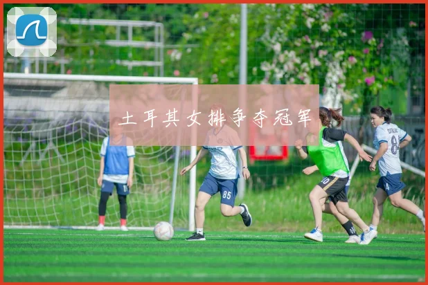 土耳其女排争夺冠军