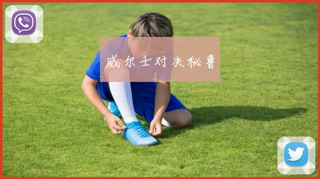 威尔士对决秘鲁