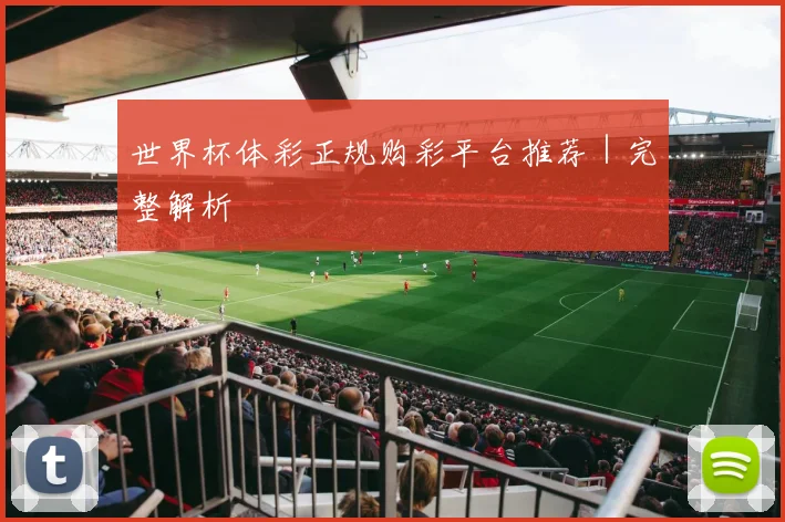 世界杯体彩正规购彩平台推荐｜完整解析